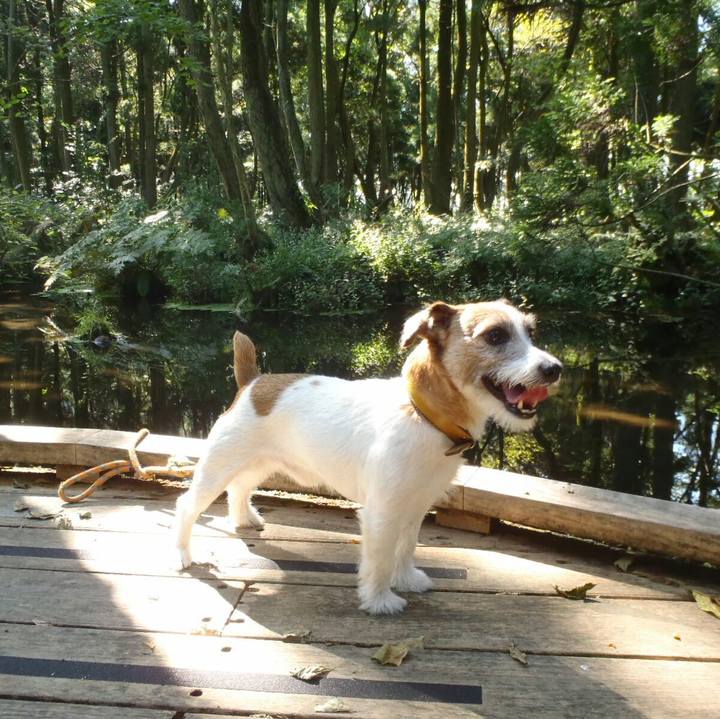 E786a77f 3c25 46c4 bb2e dbc8869657d9