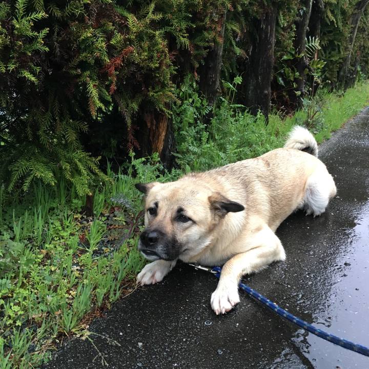 E78707c6 606b 4c58 a80e 3717ef3157dc