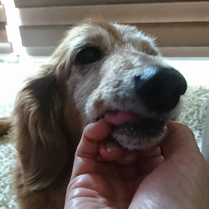 E787398e f770 4365 af5c 322347dfb1e1