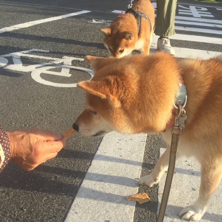 E7876833 1524 4776 a72a d245feb91f85