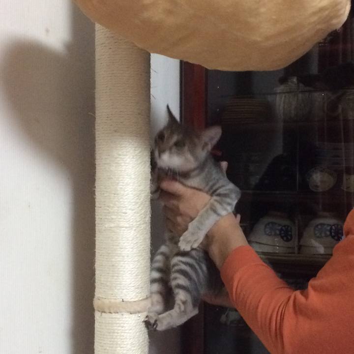 E7880bfe 1e04 40cb b03a e1a36da12edf