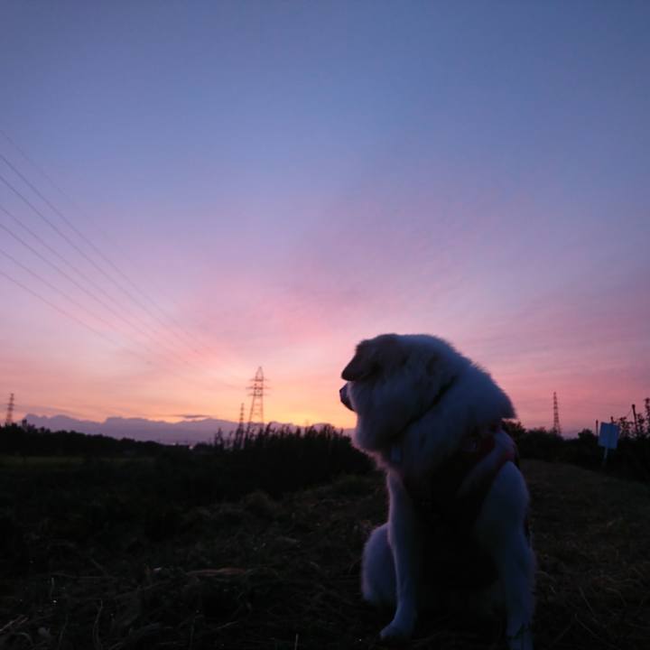 E7888da3 d866 4403 90a0 f1c23c67d529