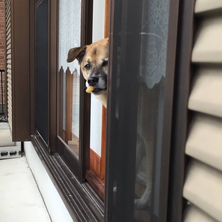 E789a0cb 0b85 406c 9dbd 354713e585a7