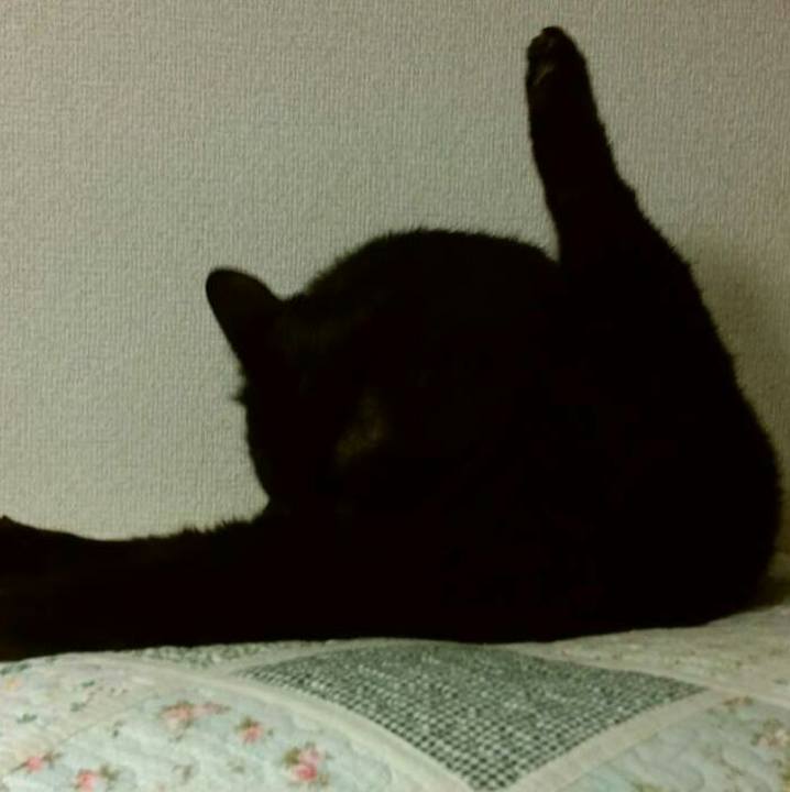 E78a48fb 87e8 48a4 8670 ebd0ec95beb8