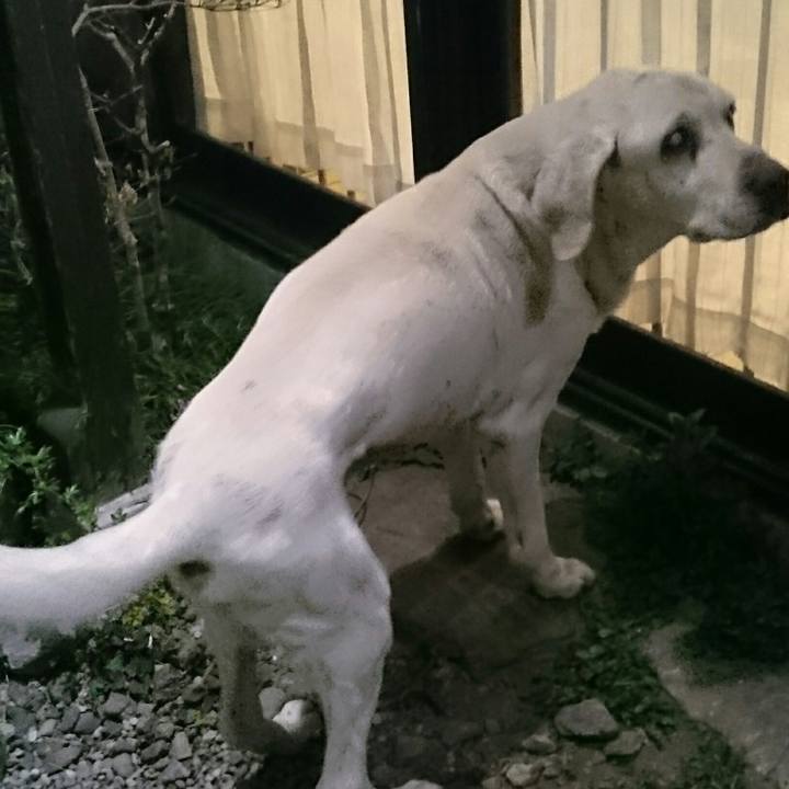 E78b1733 f265 4982 a1aa 89c67639e4af