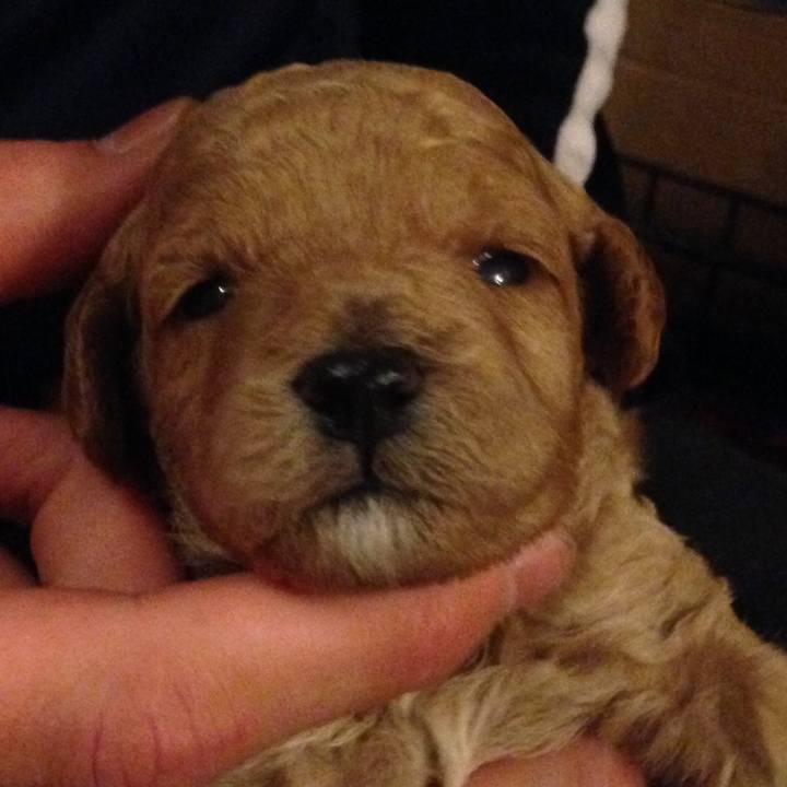 E78b5249 3f93 4552 b582 82241d4b9c74