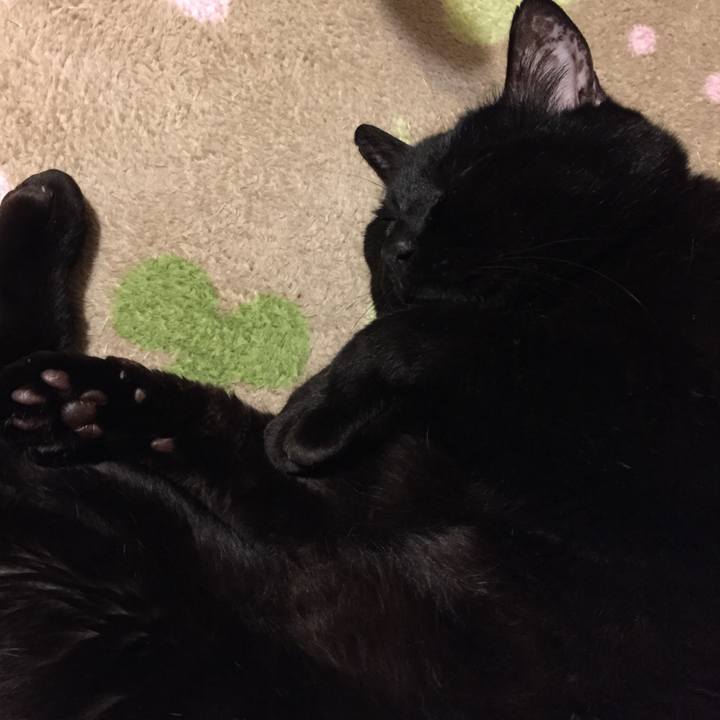 E78ba2fb 8ccd 492c b376 e46c563cbea5