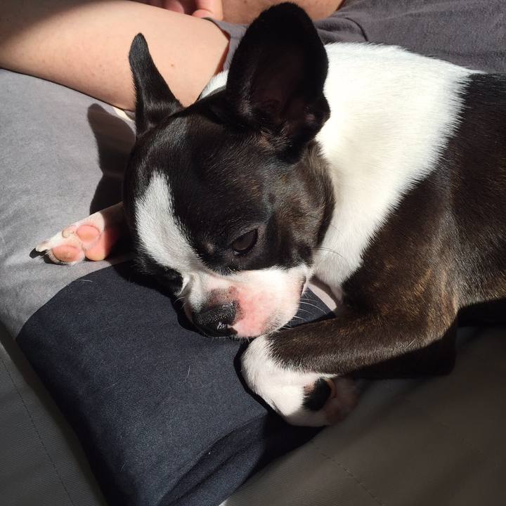 E78c6fad 8758 4fda 8be9 790e371fdc0e