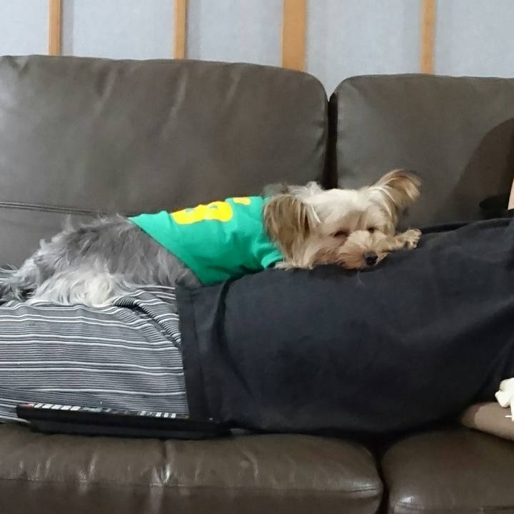 E78cdf2a da79 411b 9daf 7de89fbbfa08