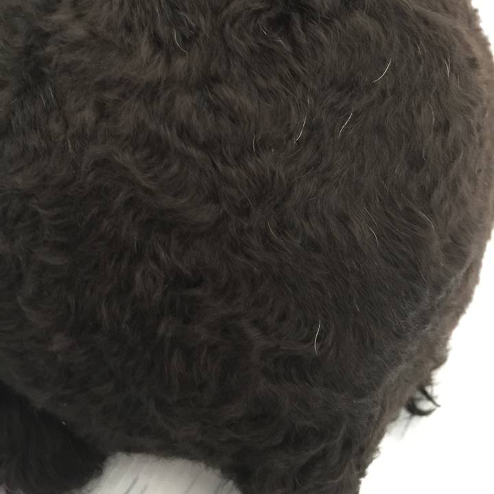 E78d18ed 2255 4dc5 855a 2d2ad64577ec