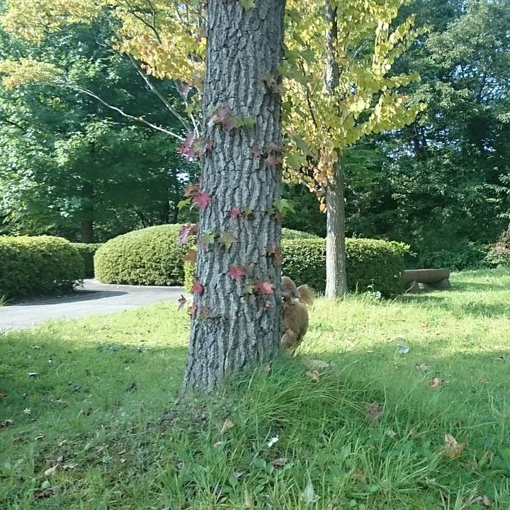 E78d4c6f 7879 44dc 9198 8b6048b490e3