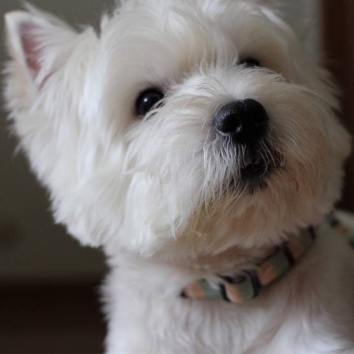 E78d6998 c022 4264 b35e 5f295acacc44