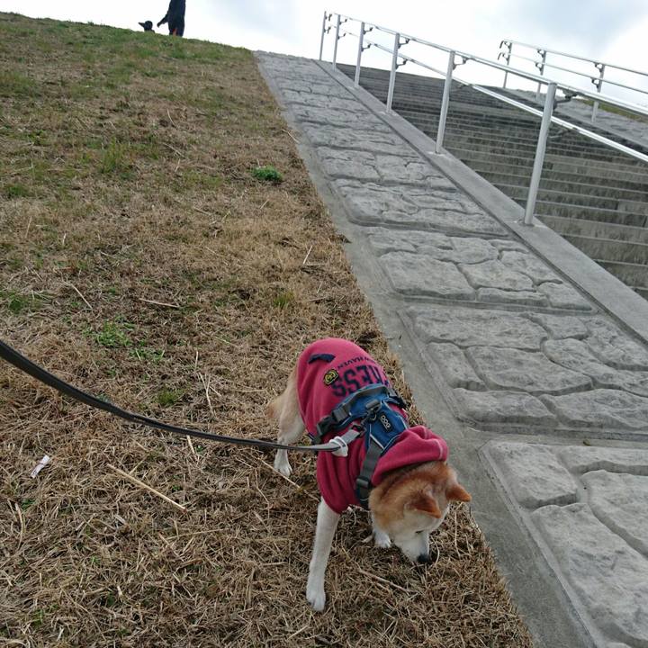 E78e0736 8019 47c3 934e f5088d32d072