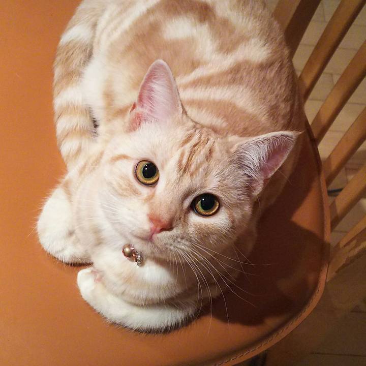 E78e0f23 6103 425a a45a 19cef7cdad91