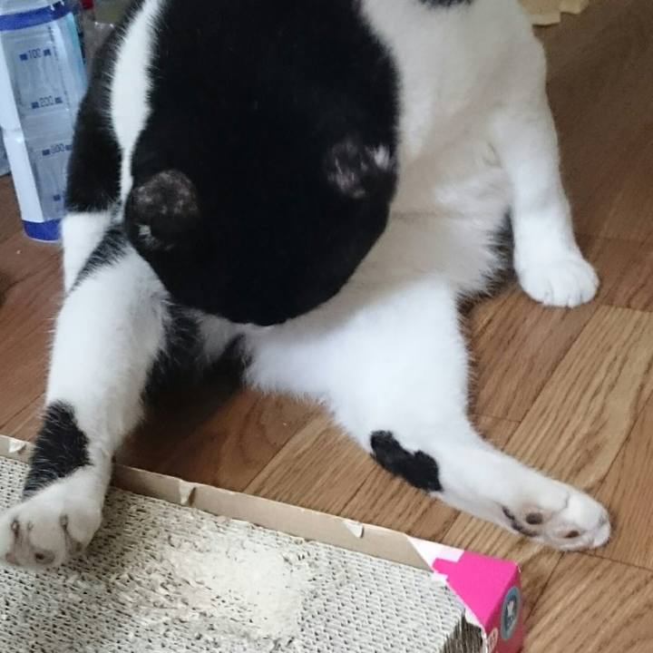 E78e4f11 96b4 4562 b482 ae4ce043b1d1