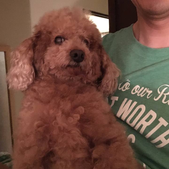 E78e5880 bdf9 40c6 b5d3 17470edc89a2