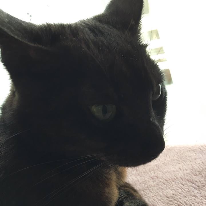 E78e639b 4422 4fff a517 e7031936f4a7