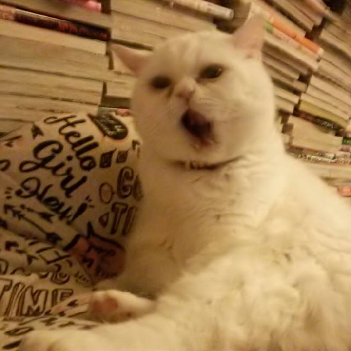 E78e63ad 6c98 4c89 8a4e cf9787d73978