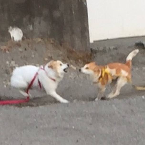 E78f36c7 6840 4bb3 b09a 9fa1dfcc51a5