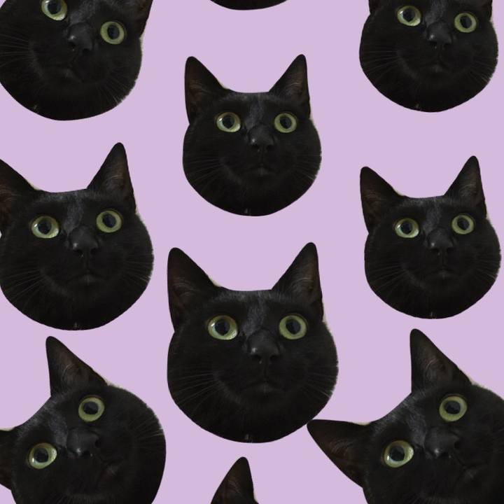 E78f8d56 80f6 4d00 bbc1 9ee948db93ce