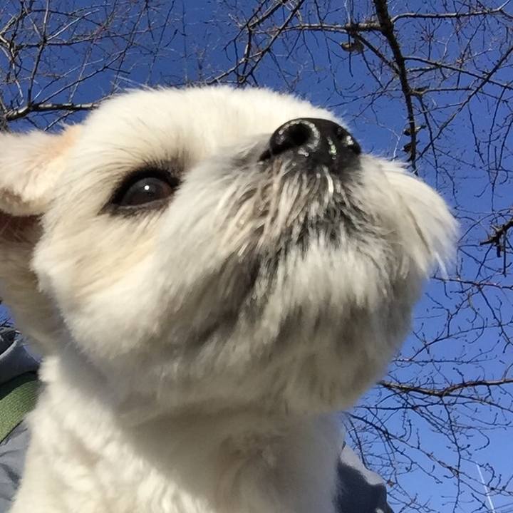 E78fe510 34d9 4a40 ba3e ab4dd7c469a2