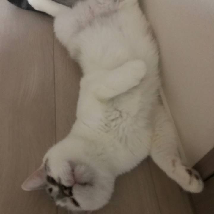 E790463f c359 483b a6d1 c91d0ea013da