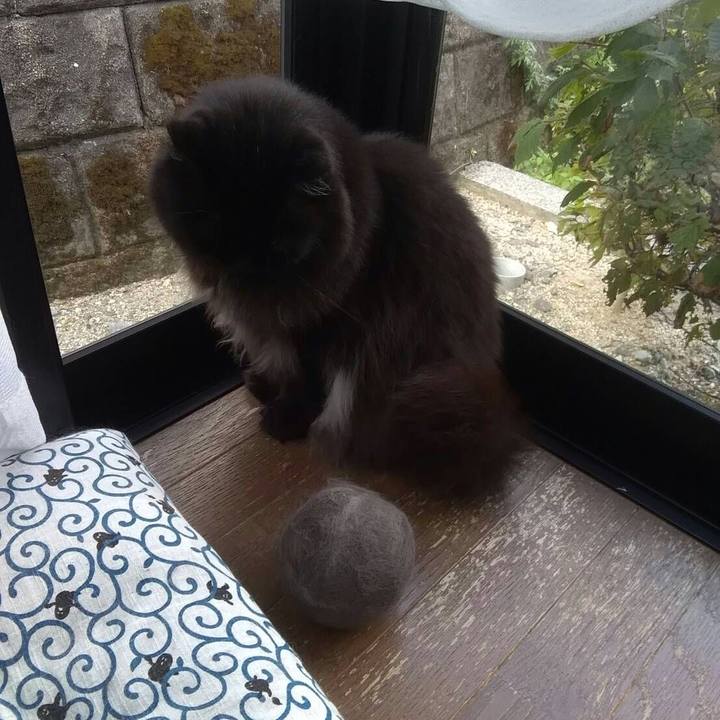 E7906e6a 1e72 4795 b13a fec6661e3c83