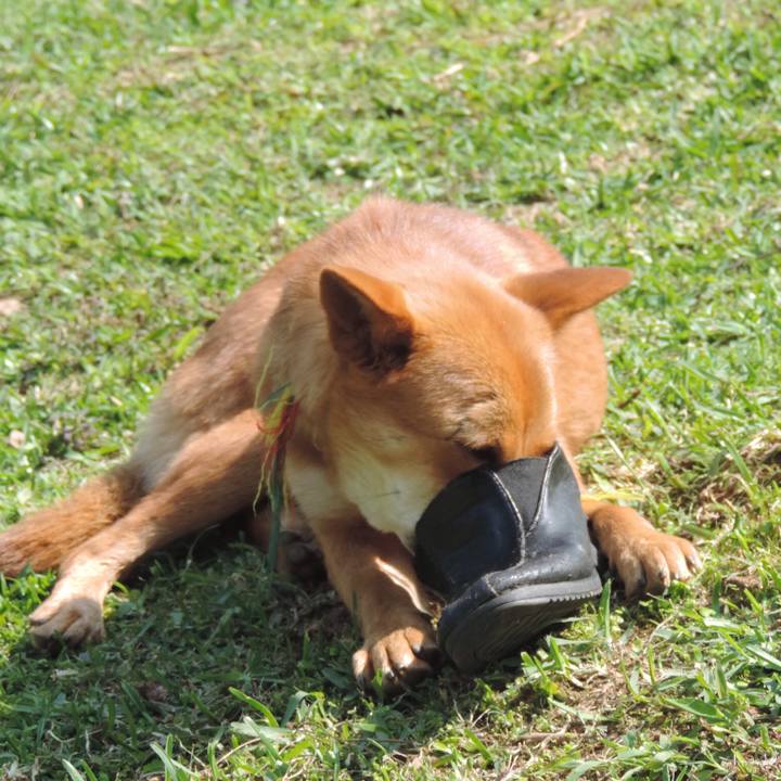 E790a969 1a28 4bb4 b987 3a45e0c030c2