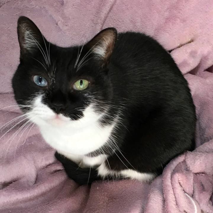 E790be51 29a8 48ef 88be 274682510219