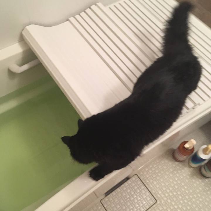 E790d170 2d7e 4cdc 88b9 cdfc1bc291cb