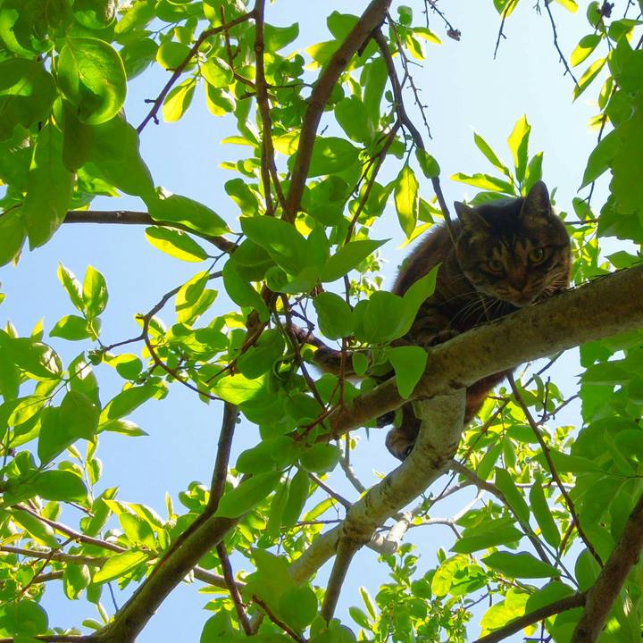 E791118c bae2 4202 9d0e 1fd4e1a6c780