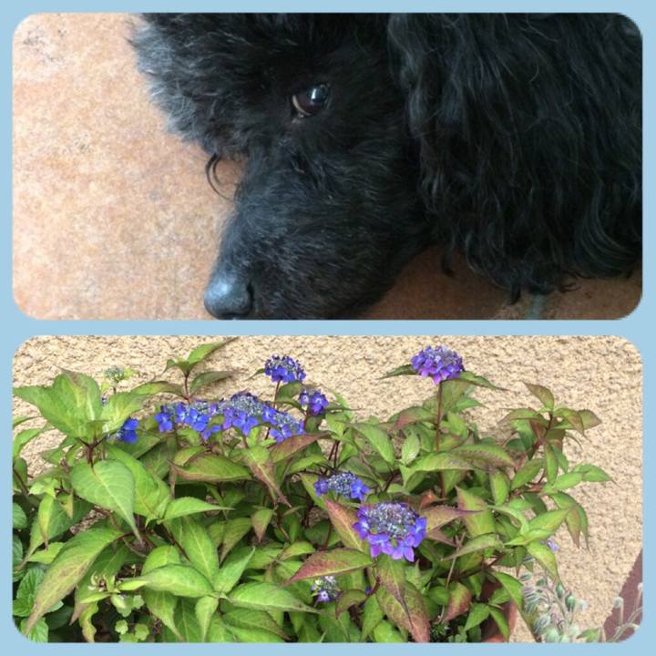 E7919507 f087 47ab ac8b c60c95c26097