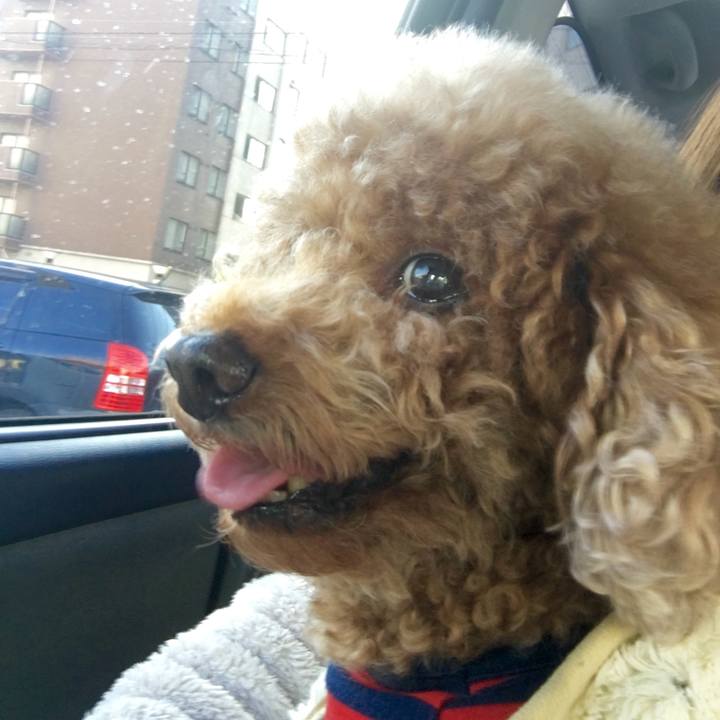 E791a973 55cf 4b45 a54e 867055b7f7d1