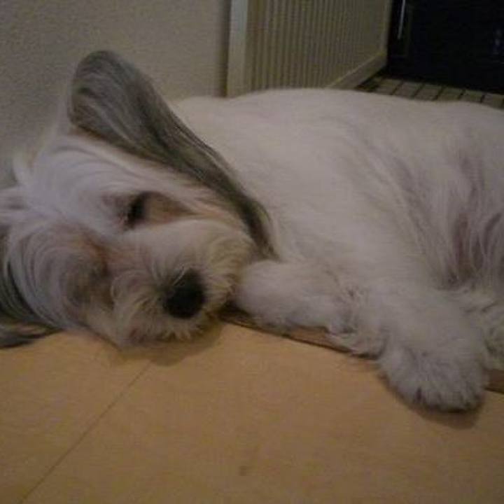 E79204b6 4895 4791 8dff 45280d14bfe0