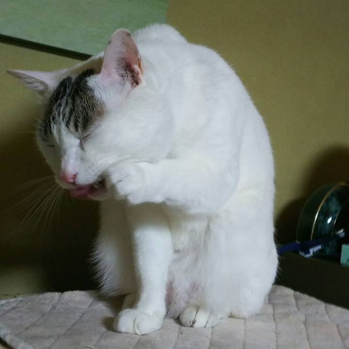 E7933f8e a5b5 49ff 8670 d62cb00bffa9