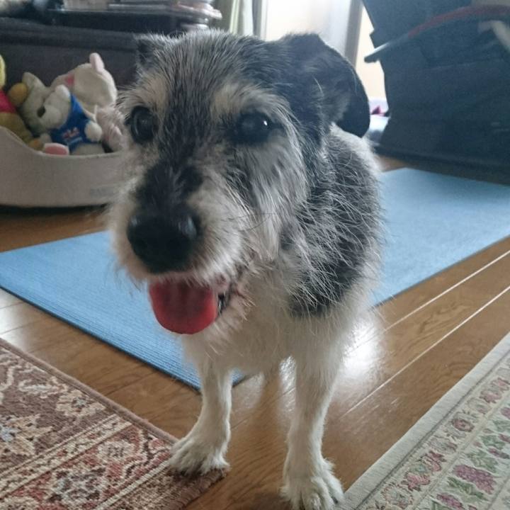 E7935ad4 ee31 4d93 b700 06ef1dbb83f7