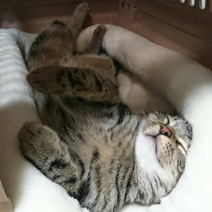 E793d3ad f438 4166 a355 9f20adcb6b02