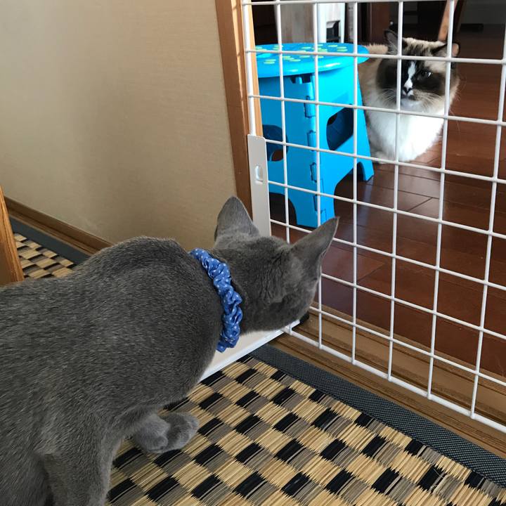 E79422e5 65f3 47ce 99ca ef87abe9dc2c