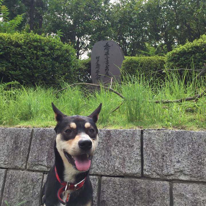 E79466eb 55e0 4297 af52 243f80a5aad3