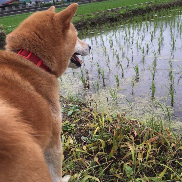 E7956d2a 62f6 4ac7 8c48 b8c59ffac9f1