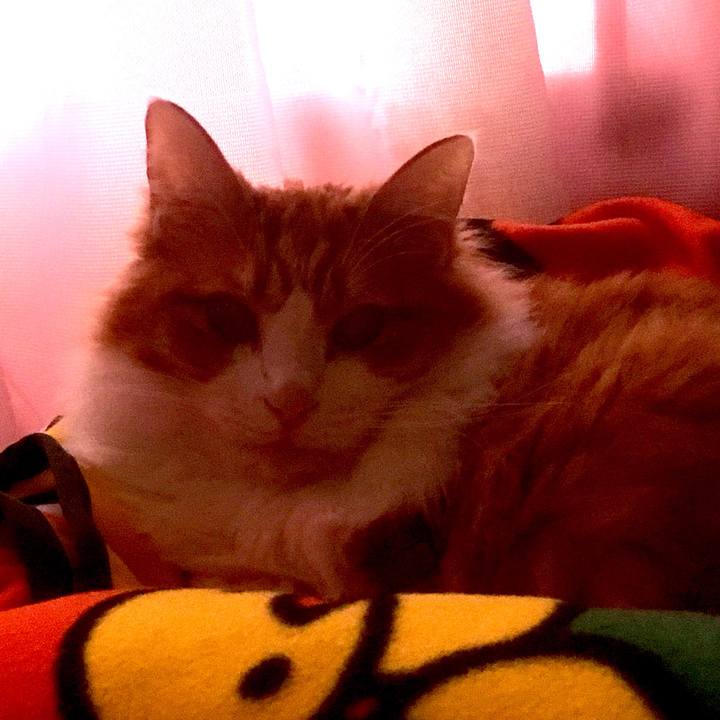 E7976eca 456d 494c 8405 1a4d29f3e409