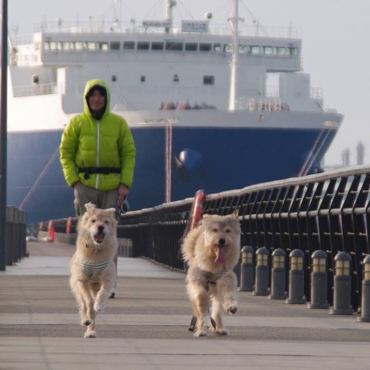 E797a38e d95b 4108 94a8 bedef4b79631