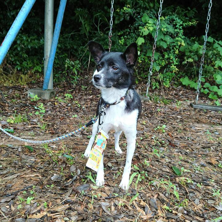 E797aab5 7681 4456 930c b3a60c9f7ab3