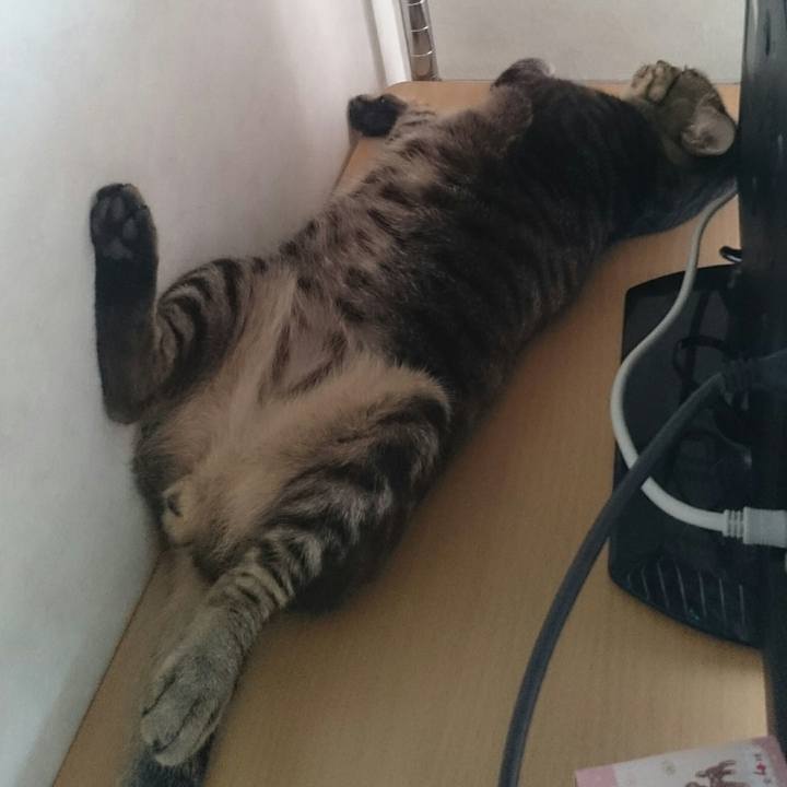 E797b4b2 4cce 4eff 8996 8072736d688e