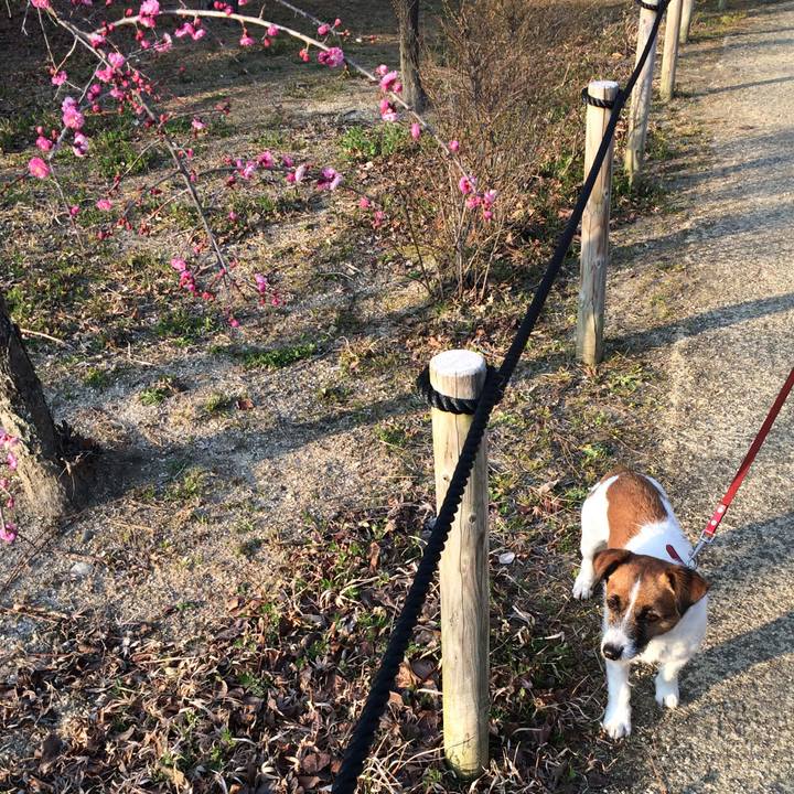 E7980c55 a1b7 4a3f a3d1 d60adefd4608