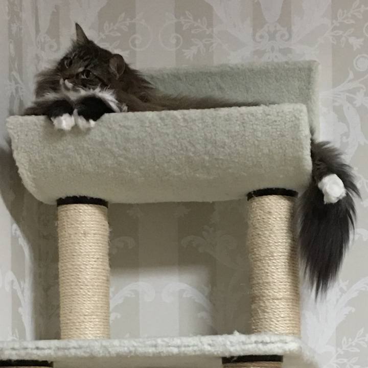 E7988654 b9af 4d32 b1c3 0d7f0dda0474