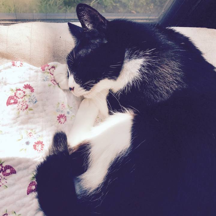 E79888ab c577 4cab a219 c83ebd4ae5a0