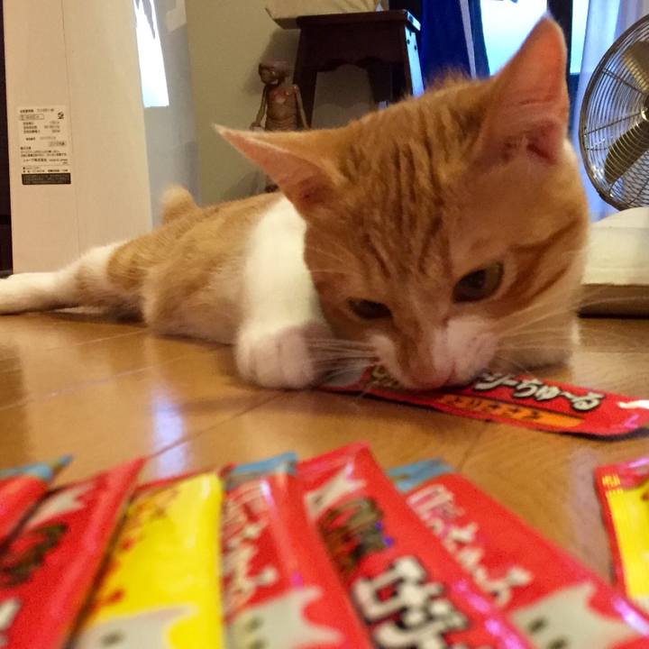 E799b9fe e7ce 4bb8 939c acdb571e4866