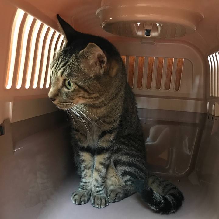 E79b74aa 8194 46b4 8052 8d3203b95d87