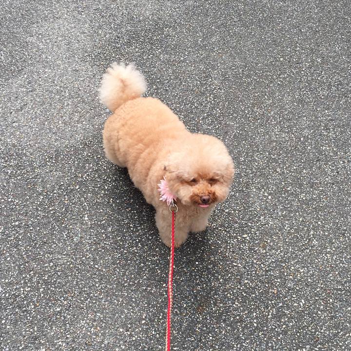 E79cb58a 51ee 48b2 80ac 8c01ed40dc0f